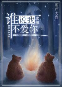 谁说我不爱你晋江