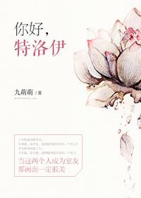 特洛伊原版