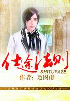 仕途法则TXT免费最新章节更新