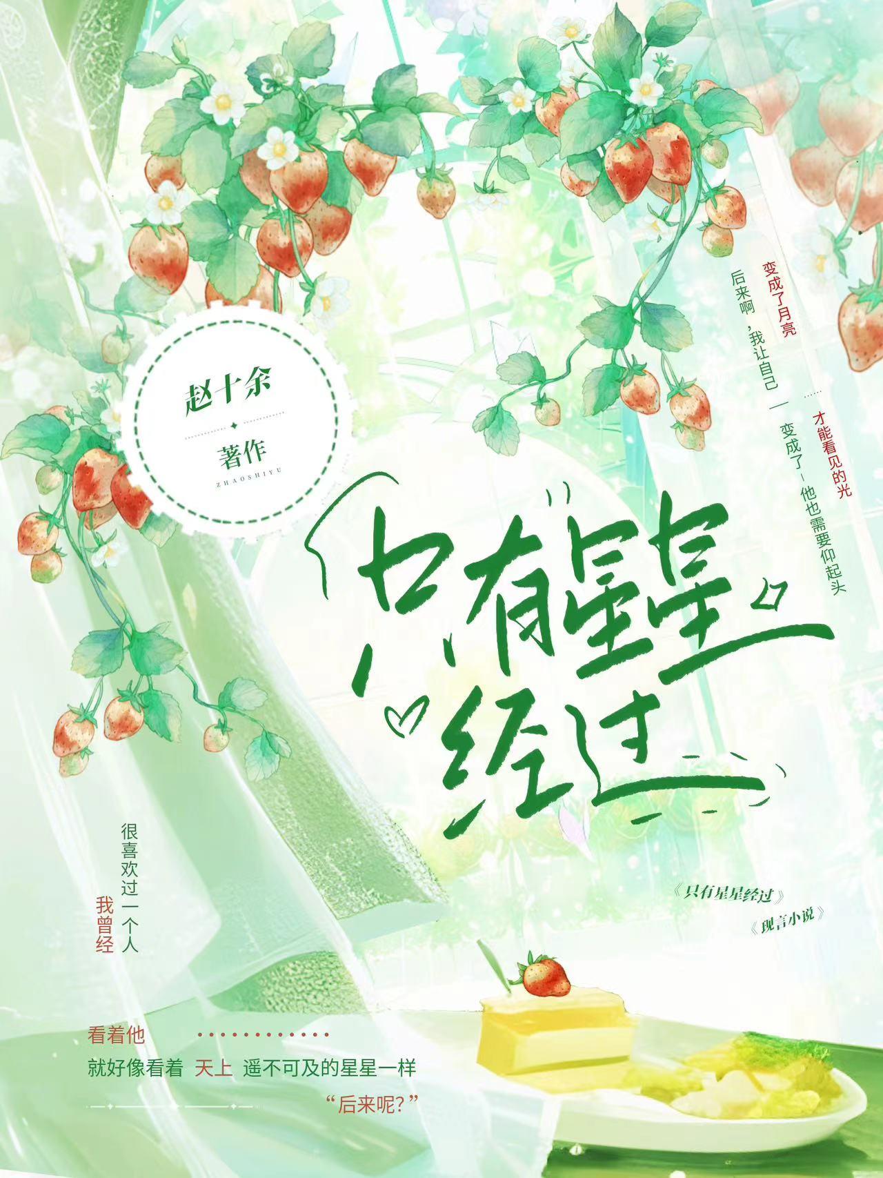 只有星星经过赵十余