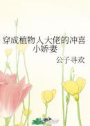 穿成植物人大佬的冲喜小妻妻