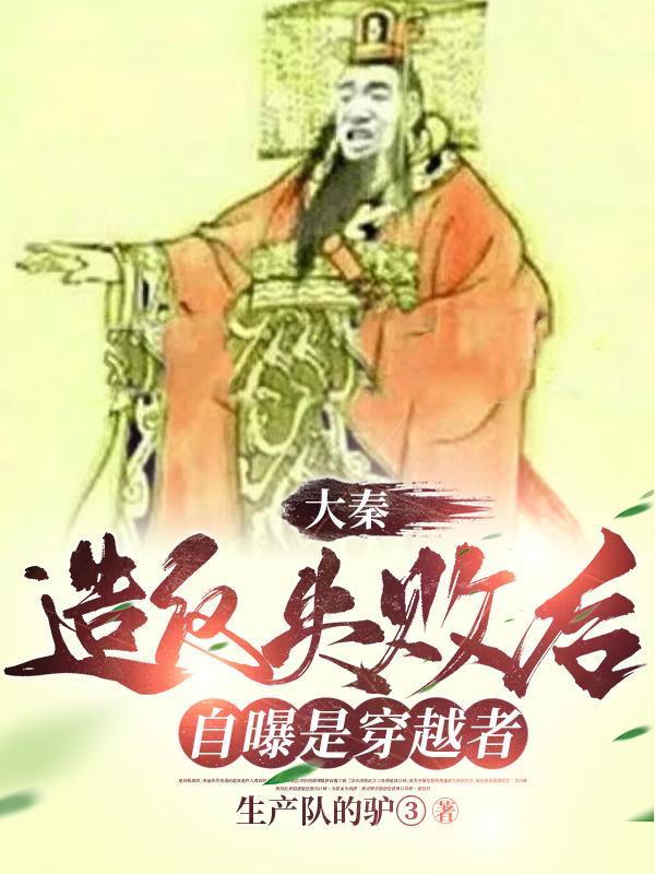 穿越大秦的推荐