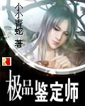 极品鉴定师笔趣阁