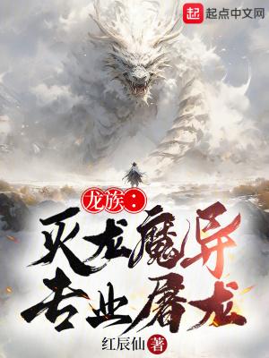 了龙族