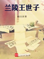 兰陵王爷