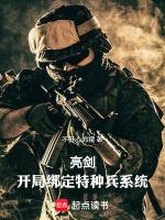 穿越亮剑的特种兵