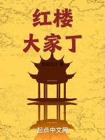 红楼大家丁 笔趣阁