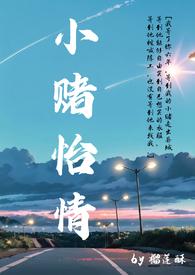 小赌怡情打一肖是什么