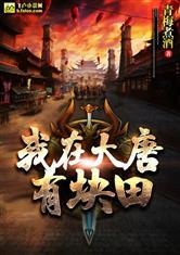 我在大唐有块田5200