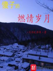 傻子的燃情岁月免费阅读全文