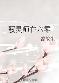 驭灵师在六零火丁灯