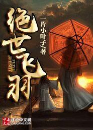绝世飞宇