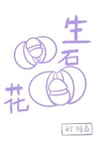 生石花换盆后注意事项