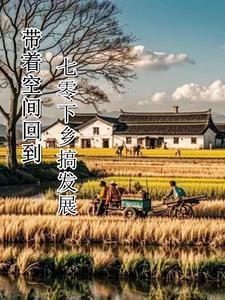 带着空间回到七零下乡搞发展最新