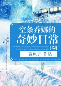 空条q太郎在jojo里出场了多少部