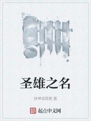 圣雄集团有限公司