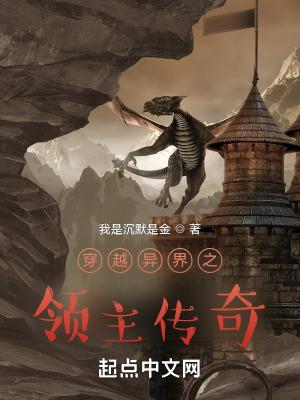 穿越异世领主类