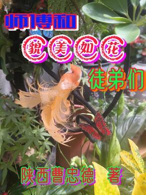 美人师傅和小徒弟