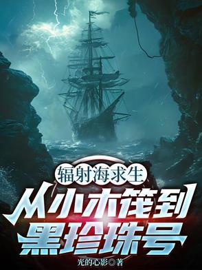 辐射岛船怎么做