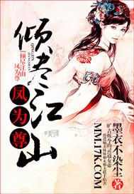 倾尽天下风起天阑