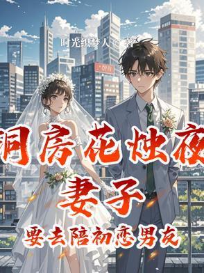 洞房花烛夜妻子要去陪初恋男友结局