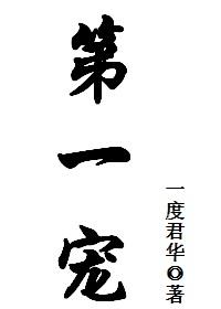 第一宠妃