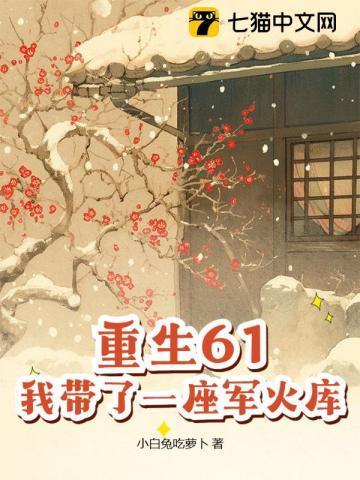 我带了一座军火库完整阅读