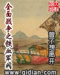 全面战争之铁血军阀 第1章_历史军事
