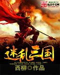 三国乱入游戏