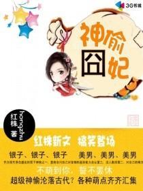 神偷囧妃 免费