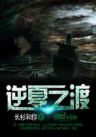 逆夏讲的是什么