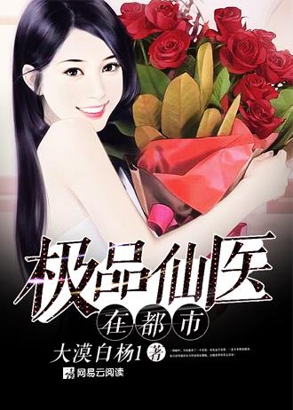 极品仙医在都市 王小六