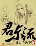 问君几何向东流