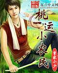 桃运小农民百度