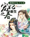 重生之宠妃之道(穿越
