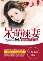 呆萌小懒妻免费阅读