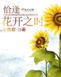 恰逢花开时短剧