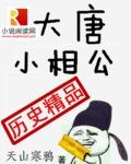 大唐小相公几个女主角