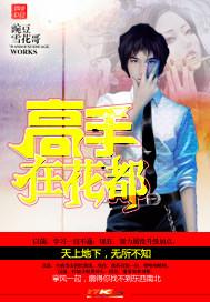 仙医高手在花都