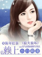 前妻赖上门免费