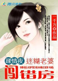 夜色溺爱迷糊老婆闯错房