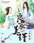 辰良美锦