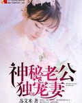 神秘老公独宠我