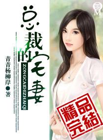 总裁的宅妻大结局