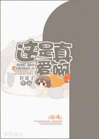 银魂真选组搞笑集数