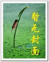 西北王的败落