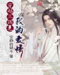三国美人录安装官方正版