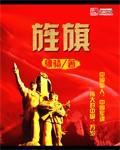 旌旗在望