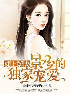 枕上娇妻:景少的独家宠爱