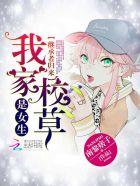 继承者归来:我家校草是女生